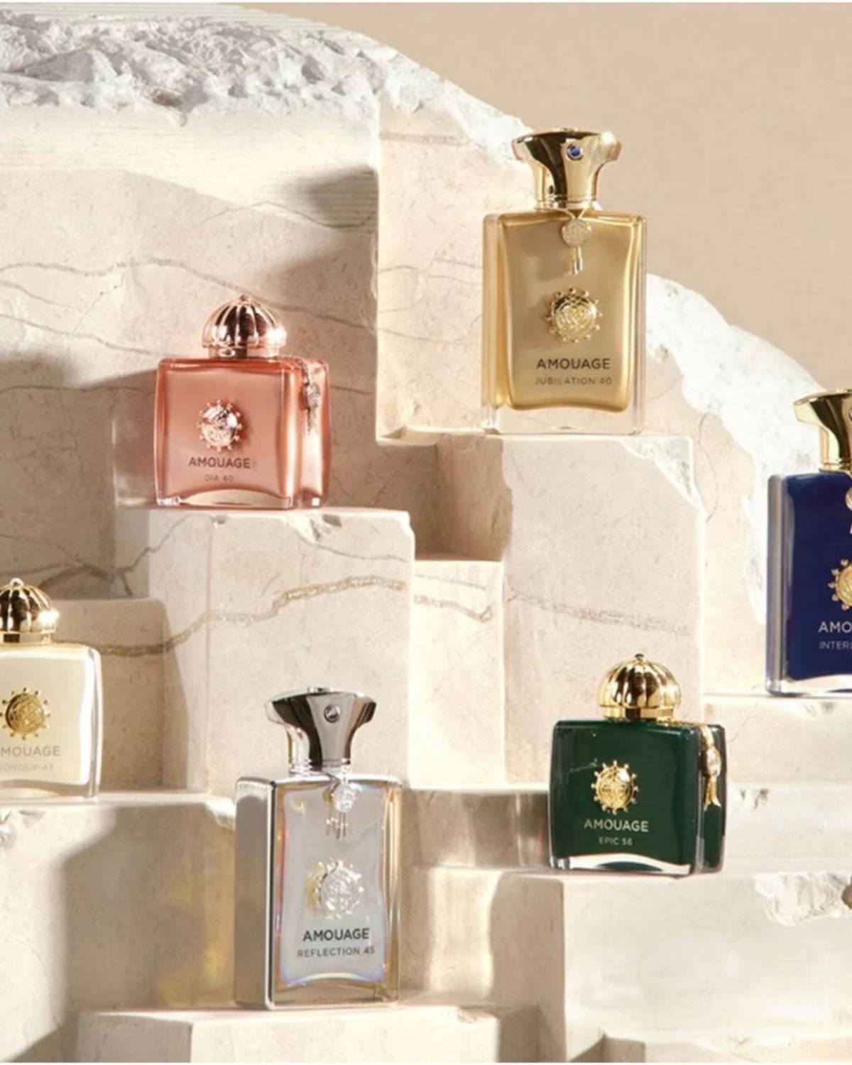 Dark Fragrances4