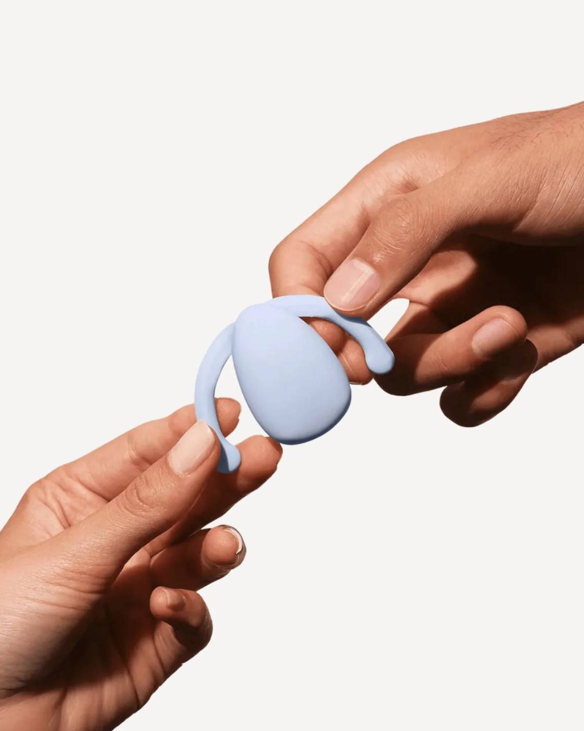 Wellness Brands4